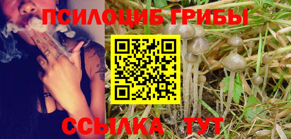 Галлюциногенные грибы Magic Shrooms Пугачёв