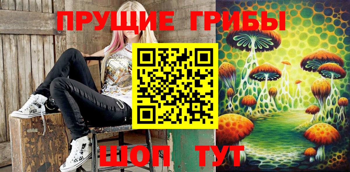 Пугачёв  Псилоцибиновые грибы Psilocybine cubensis  Псилоцибиновые грибы GOLDEN TEACHER  цены наркотик  Вход с VPN 